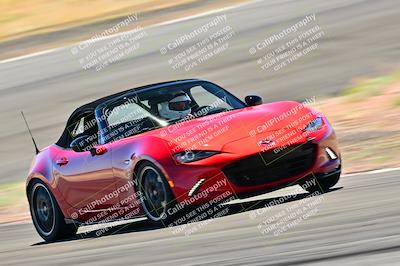 media/Mar-23-2025-West Coast Racing (Sun) [[de161b708f]]/Blue Group/Session 3 (Turns 3 and 5)/